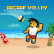 Arcade Volley img