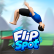 Flip Spot img