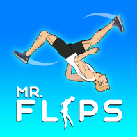 Mr Flip img